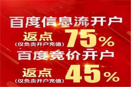 某品牌SEM广告投放的ROI提升案例